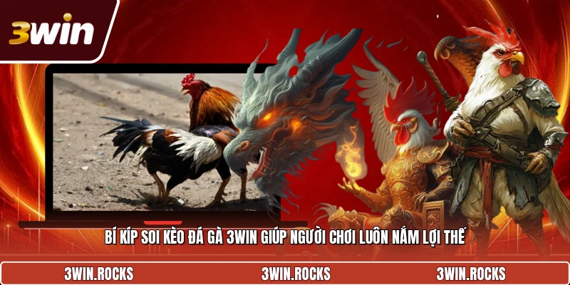 Bí kíp soi kèo đá gà 3win giúp người chơi luôn nắm lợi thế