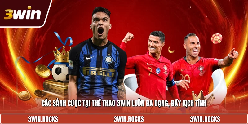 Các sảnh cược tại thể thao 3win luôn đa dạng, đầy kịch tính