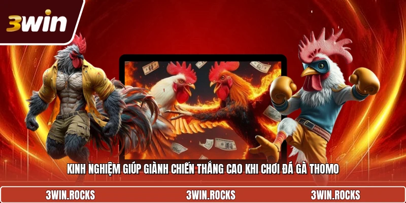Kinh nghiệm hay khi tham gia