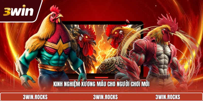 Kinh nghiệm xương máu cho người chơi mới