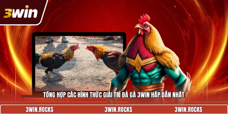 Tổng hợp các hình thức giải trí đá gà 3win hấp dẫn nhất